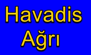 www.havadisagri.com